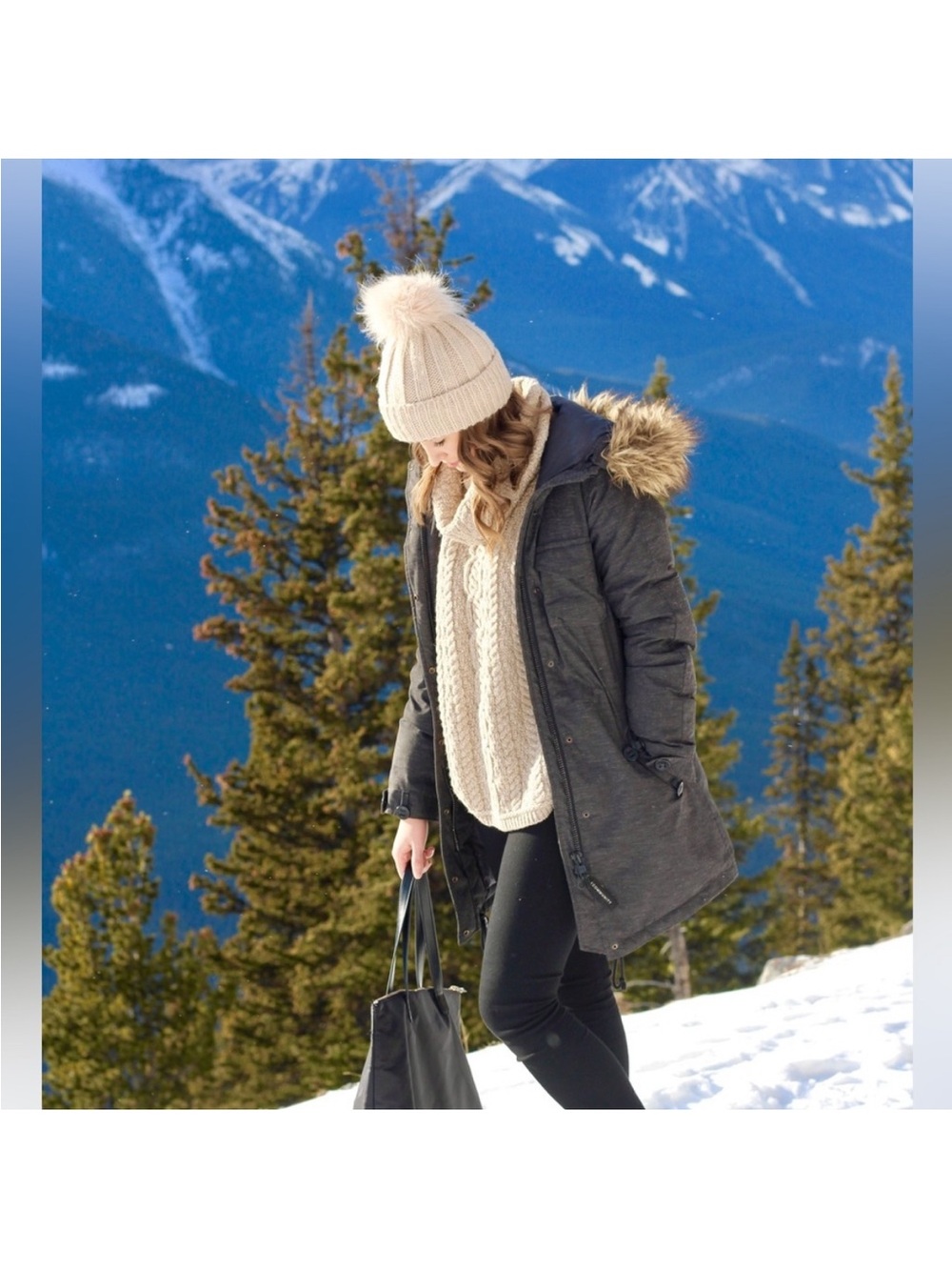 Aritzia Community Paradigm Parka